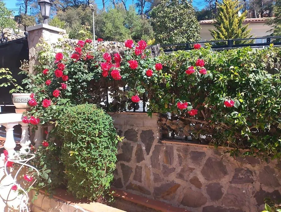 Luxury Happyhouse Villa Mont Barbat
